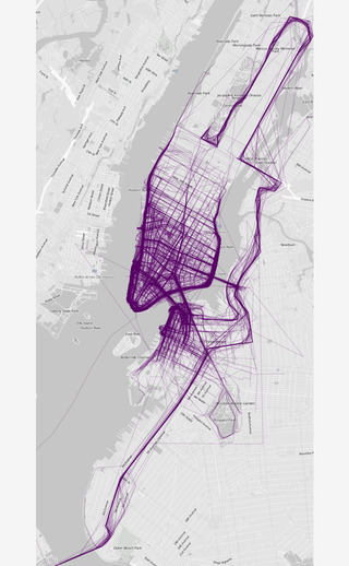 Illustration for article titled Beautiful Maps Reveal Where People Run In 22 Major Cities